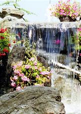 Unique Garden